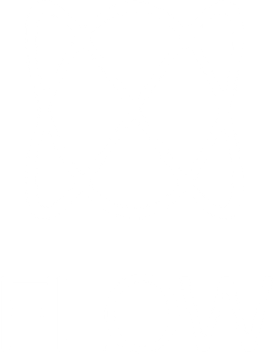 Flow logo